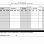 TX HHS Form 3157. Base or Operational Grant Quarterly Financial Report and Analysis
