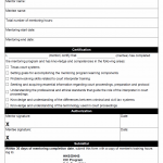 TX HHS Form 3905. Mentee Evaluation