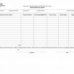 TX HHS Form 4116-Dental. Dental Summary Sheet
