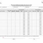 TX HHS Form 4116-MHM-AA. Minor Home Modification and Adaptive Aids Summary Sheet