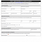 TX HHS Form 5518-NFA. Provisional Licensure Questionnaire