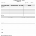 TX HHS Form 8006. ICF/IID Comprehensive Nursing Assessment (Example Form)