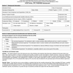 TX HHS Form 8510. HCS/TxHmL CFC PAS/HAB Assessment