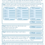 TX HHS Form H0070. Food Stamps Streamlined Reporting (Income Calculation Worksheet)
