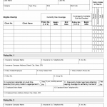 TX HHS Form H1039. Medical Insurance Input