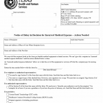 TX HHS Form H1052-IME. Notice of Delay in Decision for Incurred Medical Expense  Action Needed
