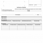 TX HHS Form H1140. Verification of Benefits