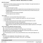 TX HHS Form H1200-MBIC. Application for Benefits  Medicaid Buy-In for Children