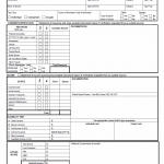 TX HHS Form H1201-A. Client Declaration or Streamline Review Worksheet