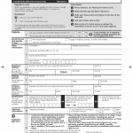 TX HHS VR30. Texas Voter Registration Application