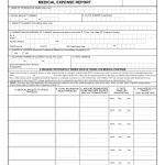 VA Form 21P-8416. Medical Expense Report