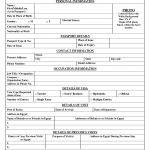 Egypt Visa Application Form